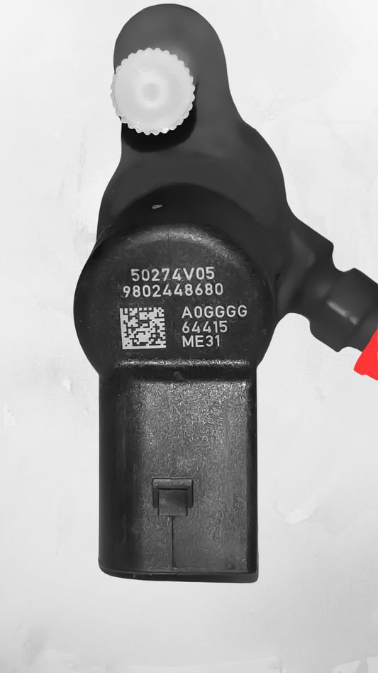 50274V05 – 1.6 HDi / TDCi – Citroën Peugeot Volvo Ford Dyse